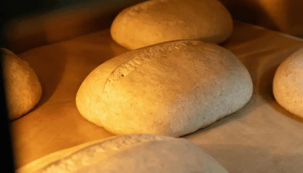 pain qui pousse dans une chambre de pousse