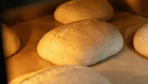 pain qui pousse dans une chambre de pousse